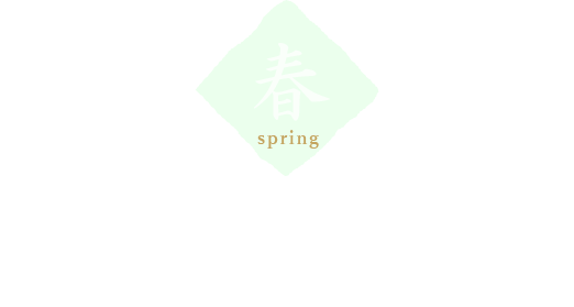 中津川瀬戸のたけのこ